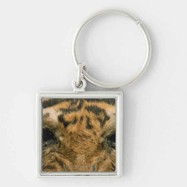Tiger eyes key ring (Front)