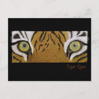tiger eyes postcard