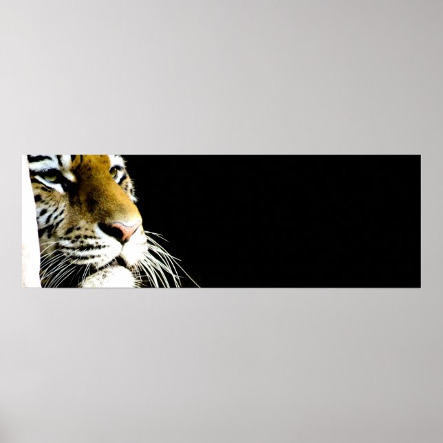 Tiger Eyes Poster (Front)