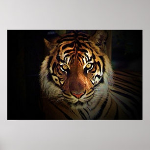 Tiger Eyes Poster - Wild Life Posters