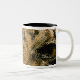 Tiger eyes Two-Tone coffee mug
