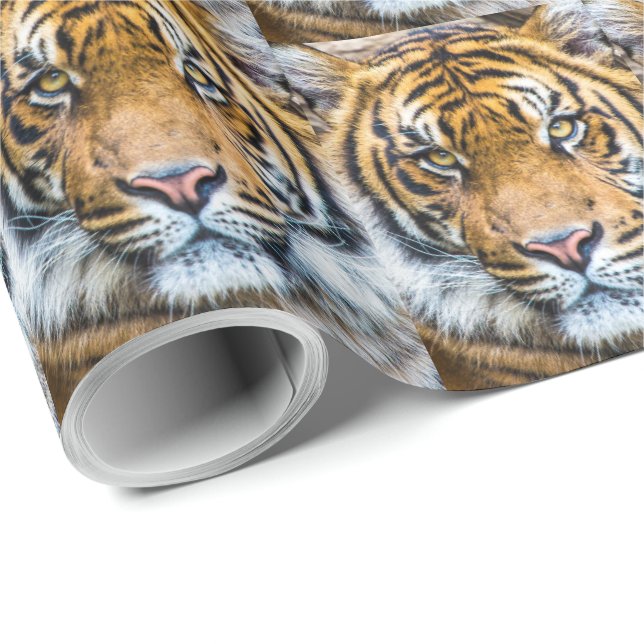 Tiger Face Close Up Wrapping Paper (Roll Corner)