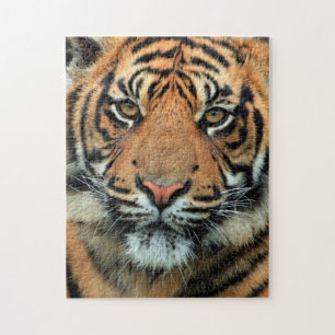 Tiger - Face Jigsaw Puzzle
