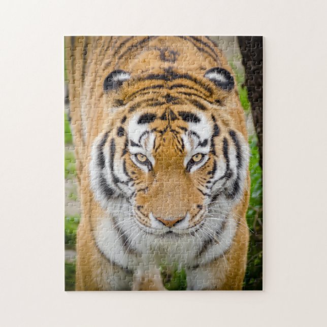 Tiger Face Jigsaw Puzzle (Vertical)