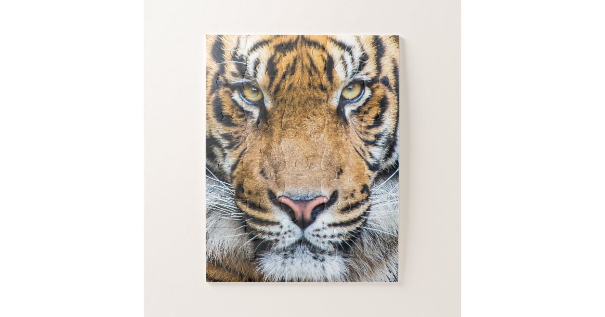 Tiger Face Jigsaw Puzzle | Zazzle