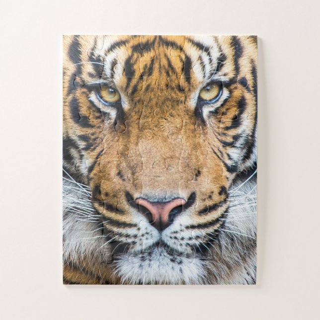 Tiger Face Jigsaw Puzzle (Vertical)