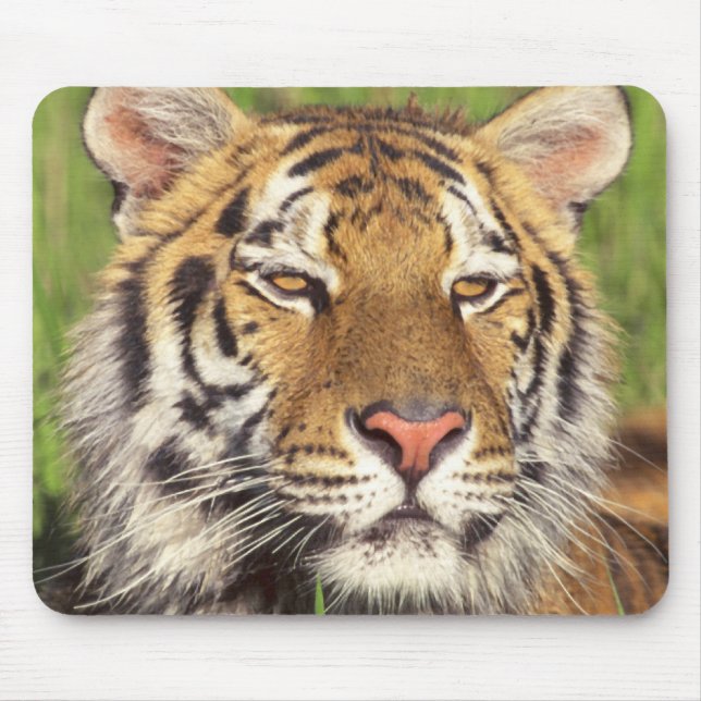 Tiger Face Mouse Mat (Front)