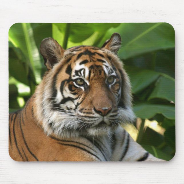 Tiger Face Mousepad (Front)