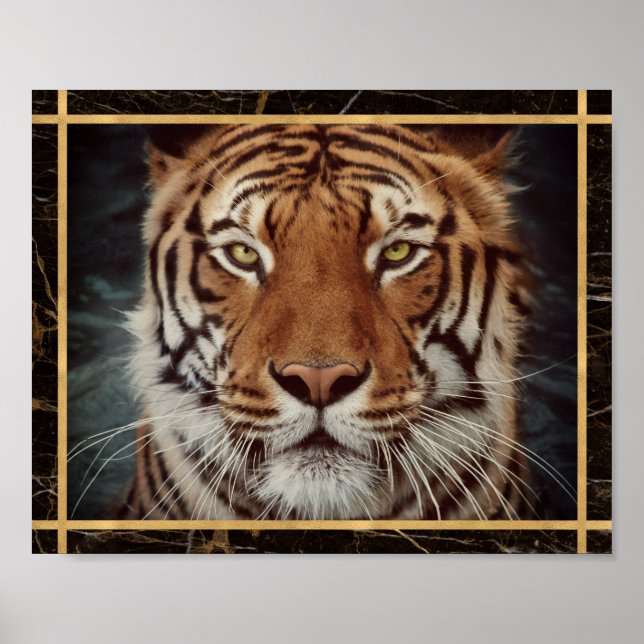Tiger Face Photo Image Print Poster (Front)