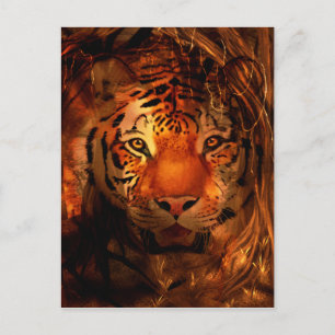 Tiger face postcard