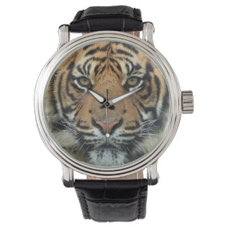 Tiger Face Watch