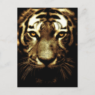 Tiger Face Wild Animal Photo Vertical Postcard