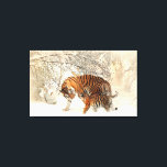 Tiger Family in Winter Landscape Canvas Print<br><div class="desc">Tiger Family in Winter Landscape Canvas Print.</div>