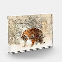 Tiger Family In Winter Landscape Photo Block