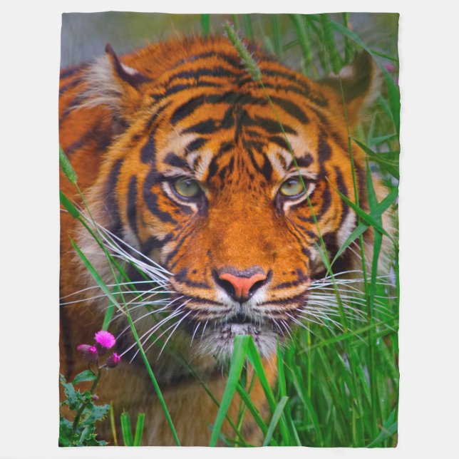 Tiger Fleece Blanket (Front)