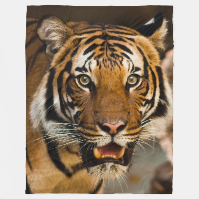TIGER FLEECE BLANKET (Front)