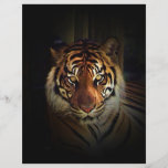 Tiger Flyer<br><div class="desc">Tiger Eyes Pop Art Image - Head of Tiger - Tiger Portrait - Wild Tigers - Big Cats Digital Images</div>