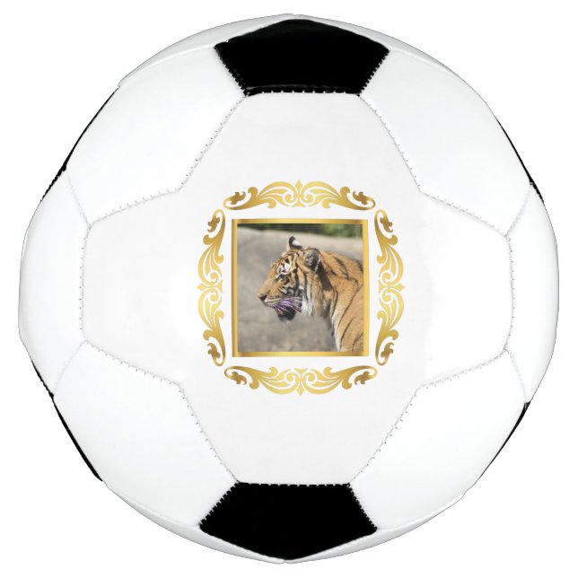 Tiger Framed Football (Front)