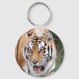 Tiger Friends-010 Key Ring