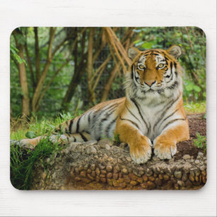 Tiger Full Body Mousepad