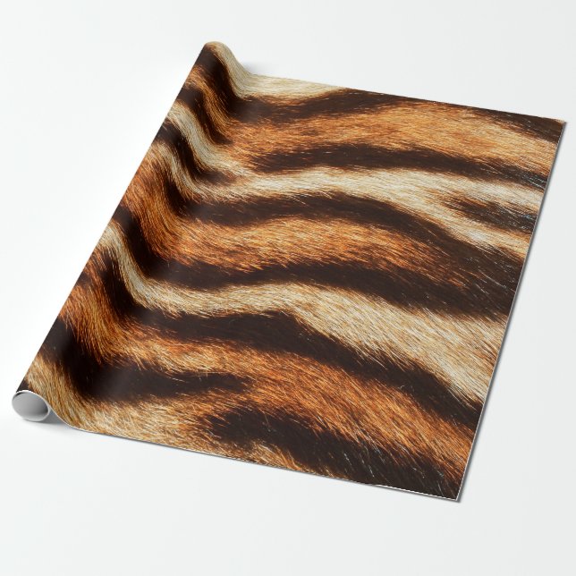 tiger fur texture wrapping paper (Unrolled)