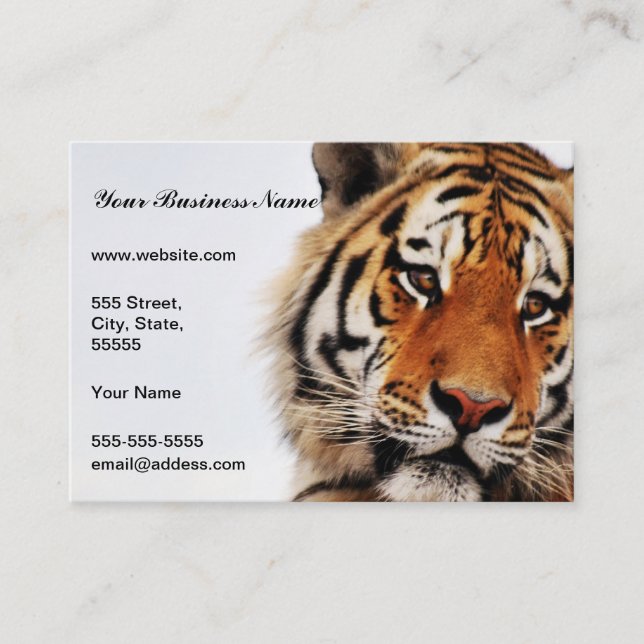 Tiger glance sideways photo business card (Front)