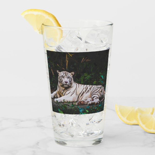Tiger Glass (Front Ice)
