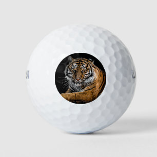 Tiger   GOLF BALLS