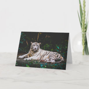Tiger Greeting Card