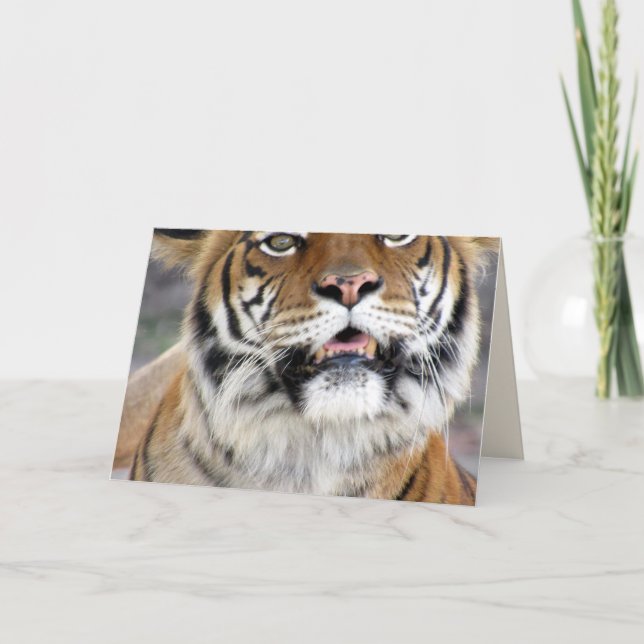 Tiger Greeting Card (Front)