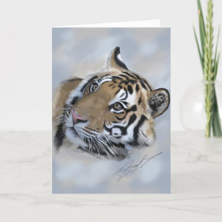 Tiger greeting card Banda of Kanha