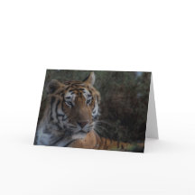 Tiger Greeting Card-Tarjeta Tigre felicitacion