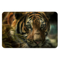 TIGER GROUND ZERO