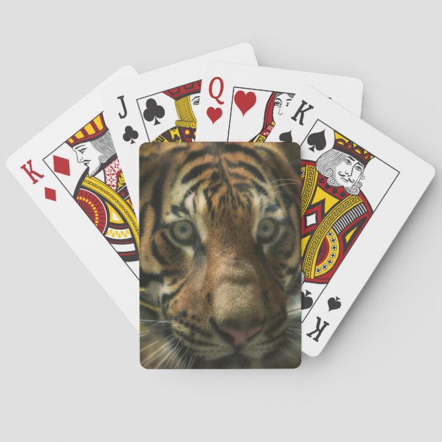 TIGER GROUND ZERO PLAYING CARDS (Back)