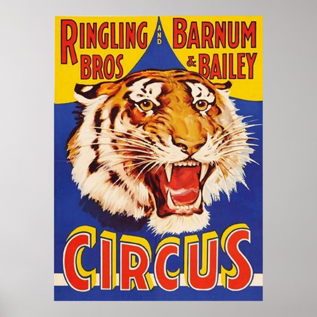TIGER Growl Circus Ringling Bros Circus Animal Vin Poster (Front)