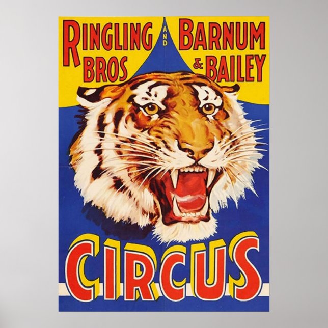 TIGER Growl Circus Ringling Bros Circus Animal Vin Poster (Front)