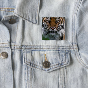 Tiger Head and Face 15 Cm Square Badge