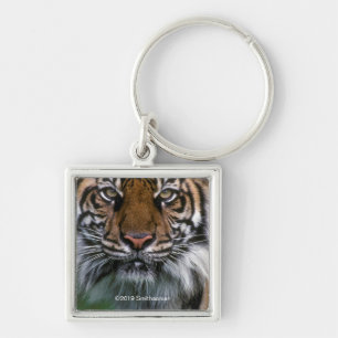 Tiger Head and Face Key Ring