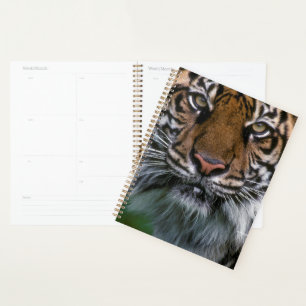 Tiger Head and Face Planner