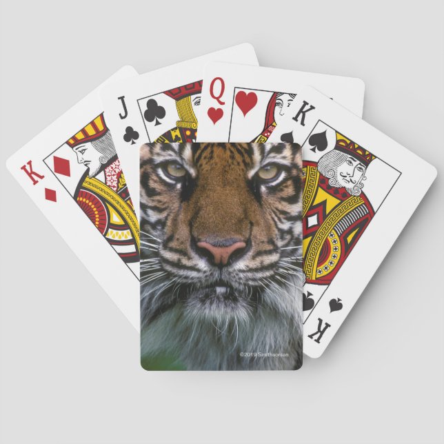 Tiger Head and Face Playing Cards (Back)