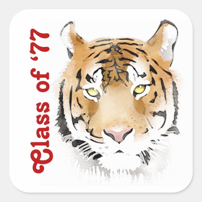 Tiger Head Watercolor Animal Custom Text  Square Sticker (Front)