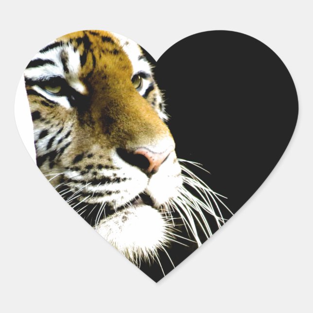 Tiger Heart Sticker (Front)