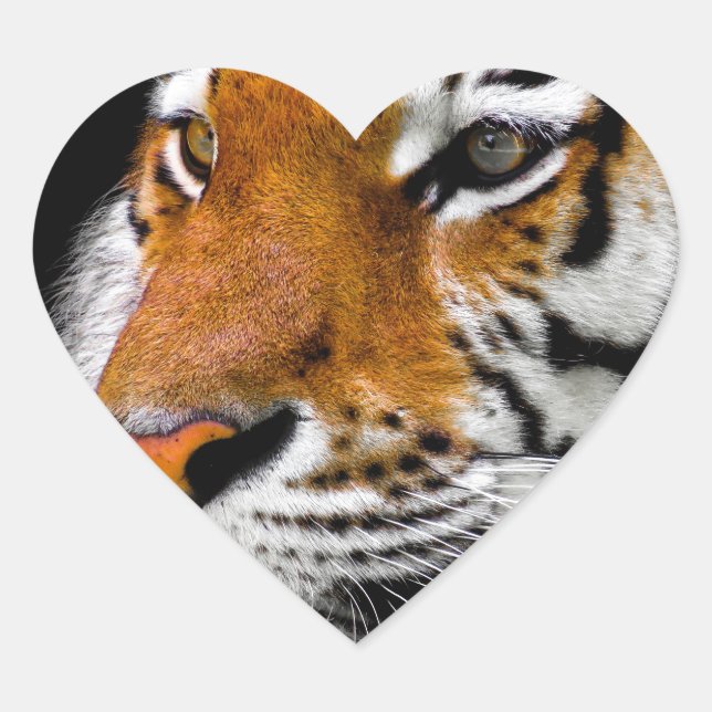 Tiger Heart Sticker (Front)