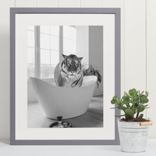 Tiger in Bathtub Black White Bathroom art Poster