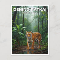 Tiger in Dehing Patkai National Park India Travel