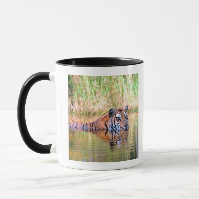 Tiger in lake mug (Left)
