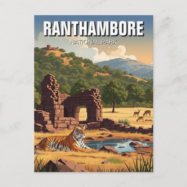 Tiger in Ranthambore National Park India Travel Postcard (Front)