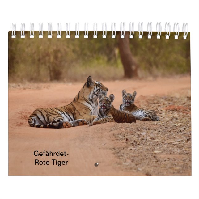 Tiger in red as calendar (Cover)
