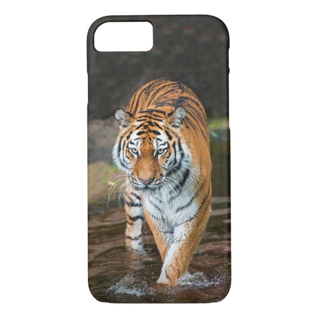Tiger in River Case-Mate iPhone Case (Back)