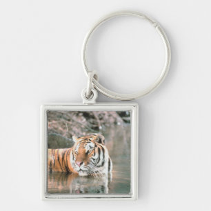 Tiger in stream key ring